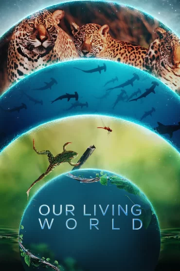 Our Living World - 1. Sezon 4. Bölüm İzle