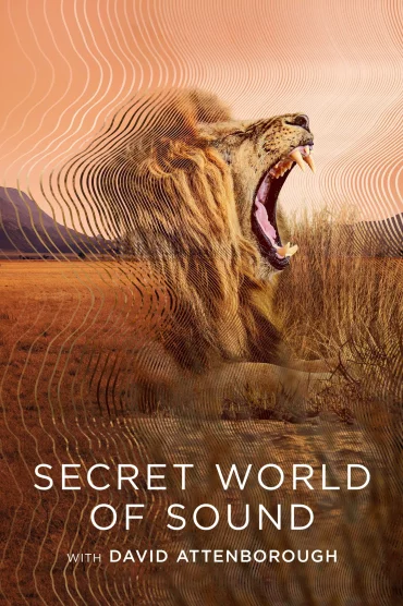 Secret World of Sound - 1. Sezon 3. Bölüm İzle